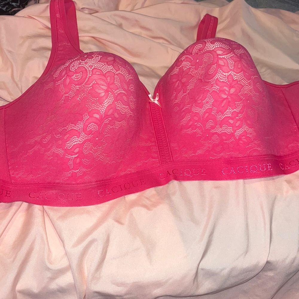 Plus size bra